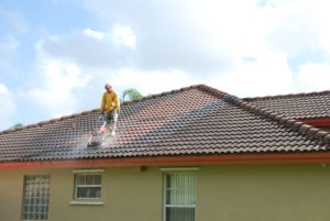 is roof cleaning safe