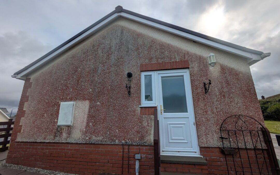 Understanding Render Stains: Black, Red, Green, and Yellow – What Are They and How Do We Remove Them?