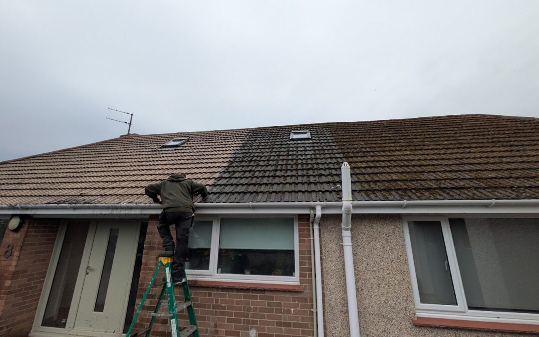 Your Roof’s Worst Enemy: Why you should consider roof cleaning